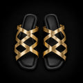 The Aurelia Slides